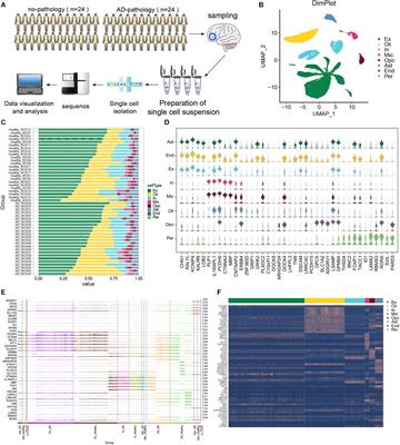 Microglia Mediate the Occurrence and Development of Alzheimer’s Disease Through Ligand-Receptor Axis Communication